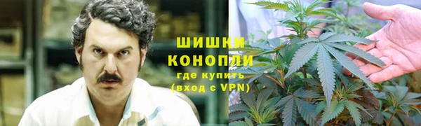 мдпв Козловка
