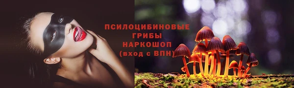 соль ск Кодинск
